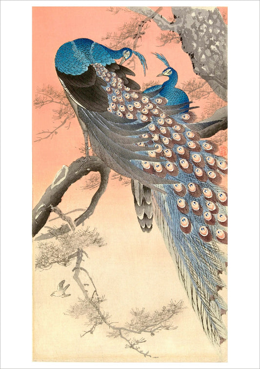 Ohara Shoson Two Peacocks on a Tree Japanese Card