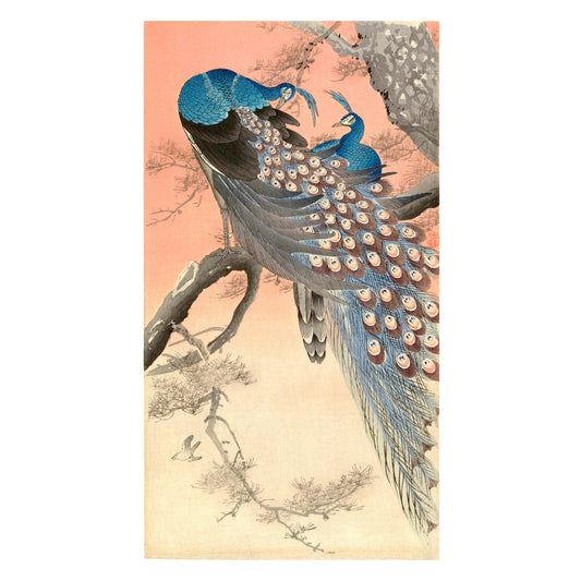 Ohara Shoson Two Peacocks on a Tree Japanese Card