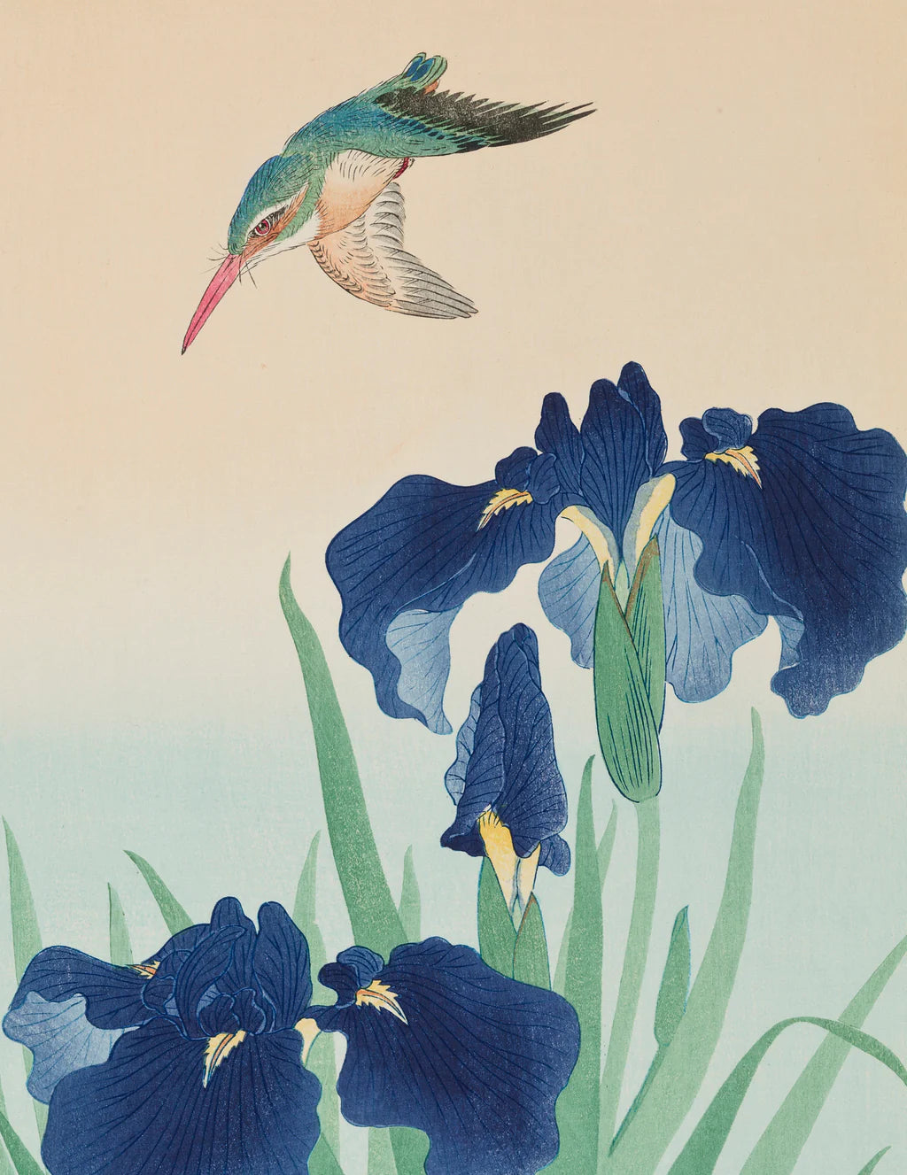 Kingfisher and Iris