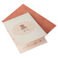 Teddy Bear Pop Open Mini Japanese Birthday Card and envelope
