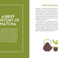 The Little Book of Matcha inside text 1