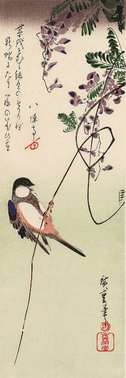 Bird and Wisteria Hiroshige Woodblock Print