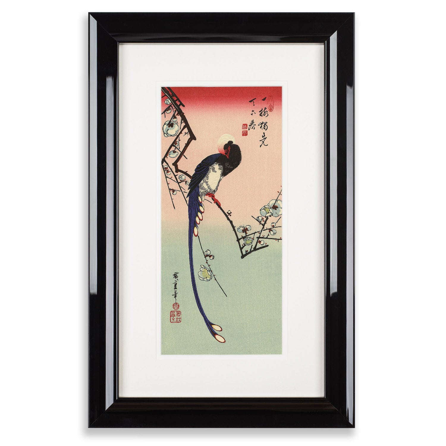 Framed White Plum Blossom and Paradise Flycatcher Print