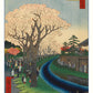 Hiroshige Cherry Blossom Box 20 Notecards