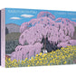 Kazuyuki Ohtsu Cherry Trees Box 20 Notecards